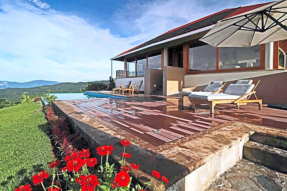 Finca Hamburgo La Ruta del Cafe