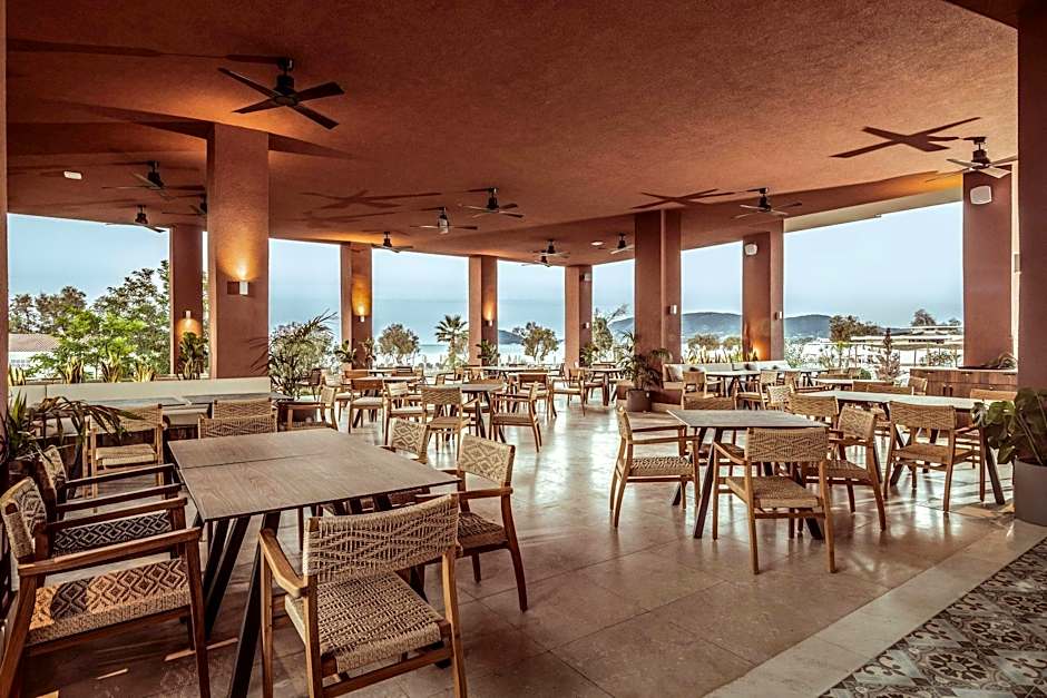 Domes Aulus Zante, Autograph Collection