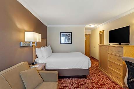 1 Queen Bed, Non-Smoking, High Speed Internet Access, Sofabed, Coffee Maker, Iron And Ironing Board,