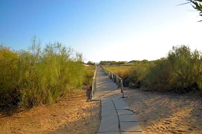 Leo San Bruno I - II