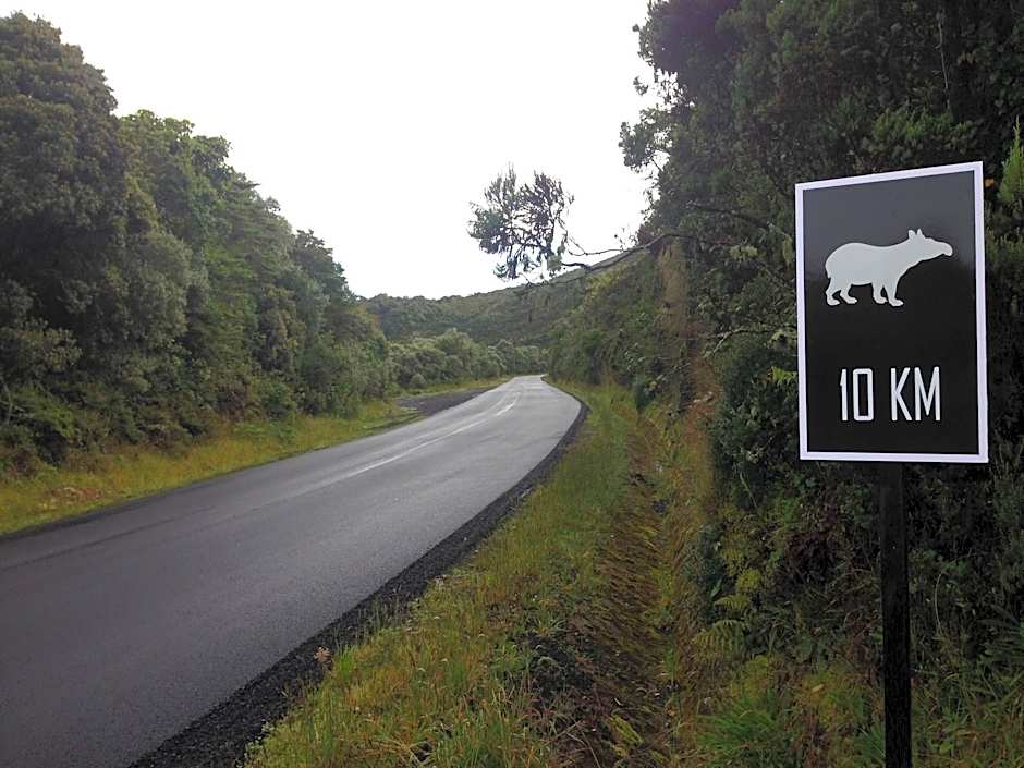 Dantica Cloud Forest Lodge