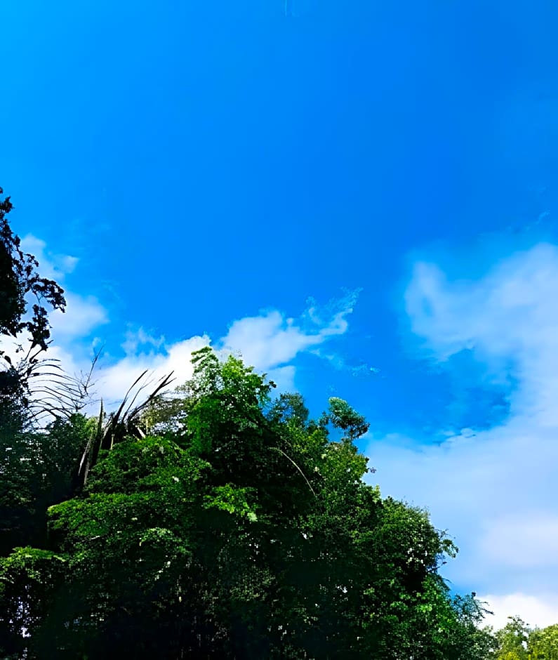 Casa Flutuante - Experiência única