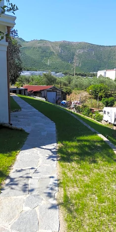 La Gallina Nel Castello