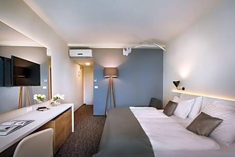 Double Room with Park View and Balcony