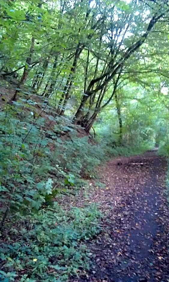 Landhaus im kühlen Grunde Garni