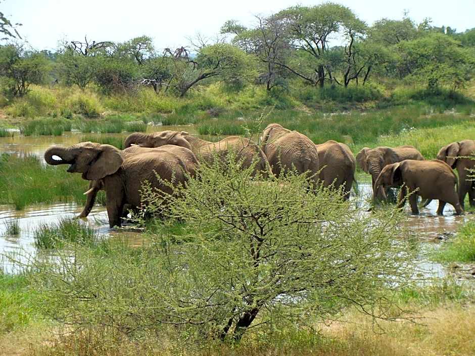 Morokolo Safari Lodge Self-catering