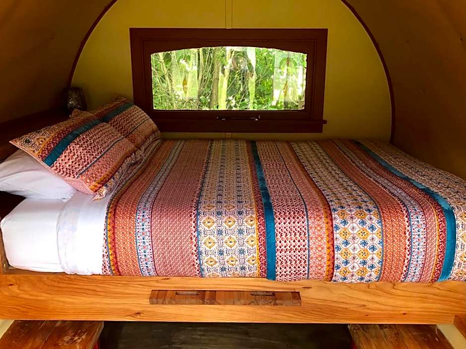 Photo 1 of 4 of Deluxe 1 Queen Bed