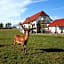 Hotel Hofgut Tiergarten