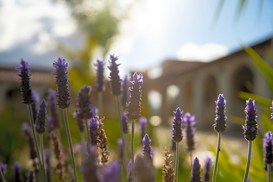 Hacienda Los Olivos, Valle de Guadalupe