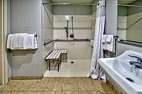 Room, 1 King Bed with Sofa bed (Mobility/Hearing Access, Transf Shwr)