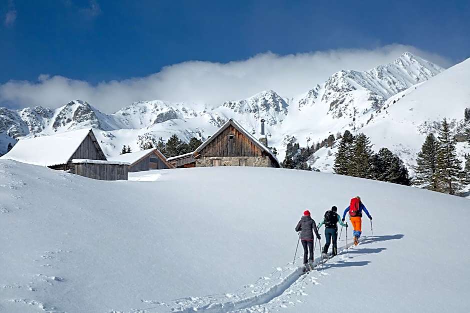 Alpenhotel & Aparthotel Lanz