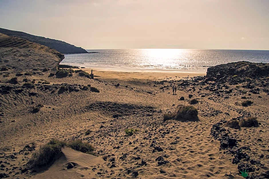 Aloe Vera Shared House