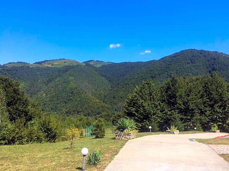 Park Hotel Ribaritsa