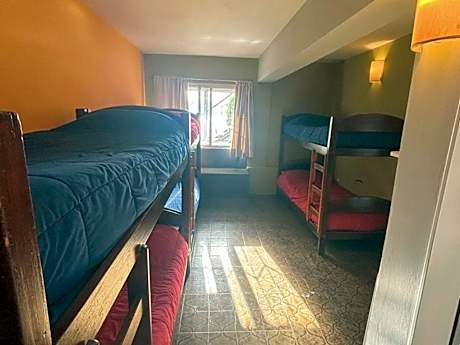 Bed in 6-Bed Mixed Dormitory Room