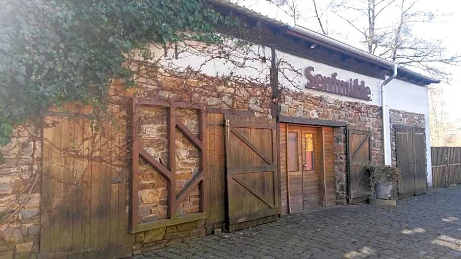 Historische Wassermühle