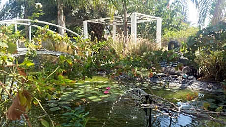 Kmo Yam In The Love Garden
