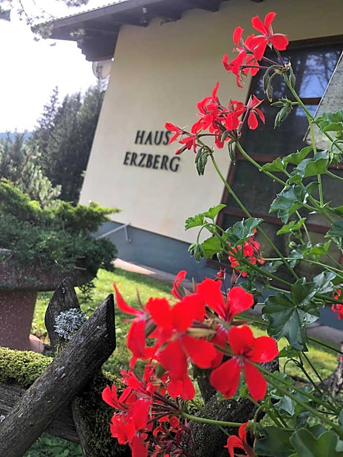 Haus-erzberg
