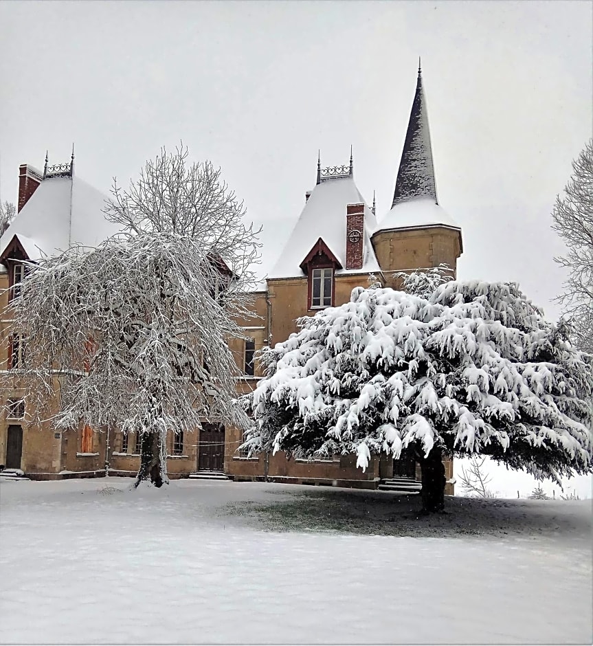 Le Chateau du grand Coudray