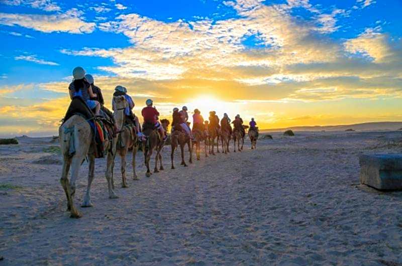 Newcastle Links Motel