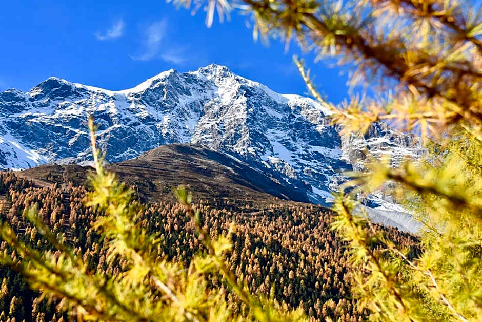 Bed & Breakfast Hotel Nives