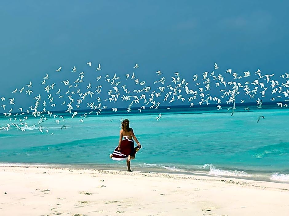 Old Town Inn Maldives