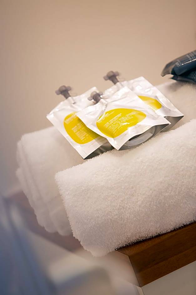 All Suites Appart Hotel Bordeaux-Merignac