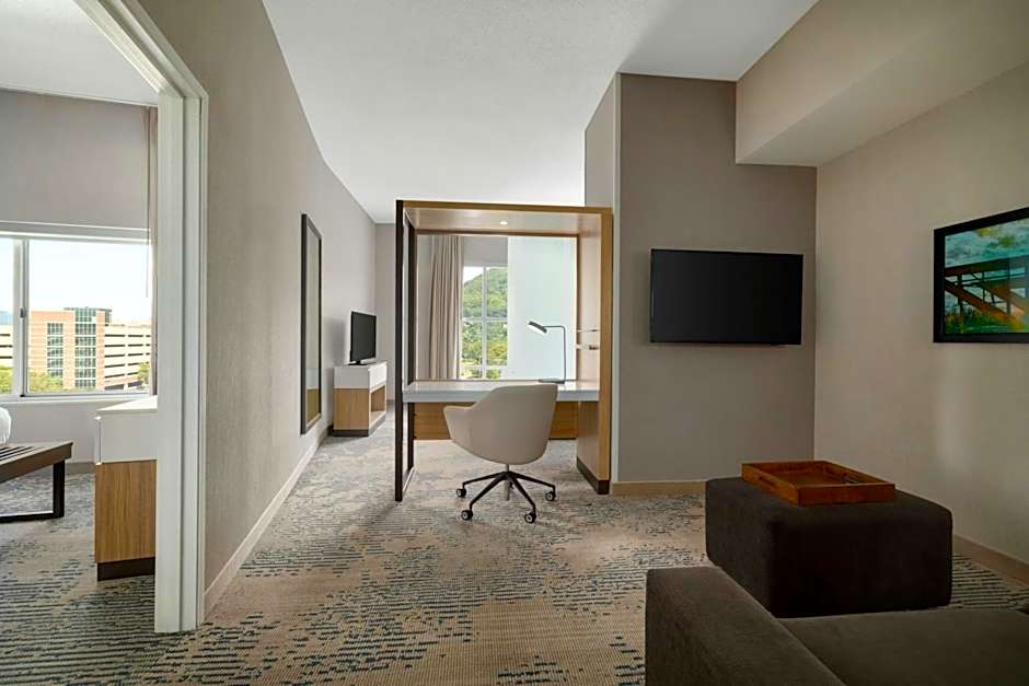 SpringHill Suites by Marriott Roanoke