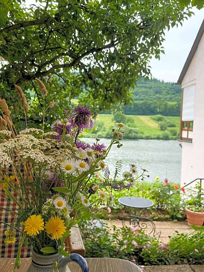 Boutique Guesthouse Das WOHLGEMUTH HEIM Mosel Weingut