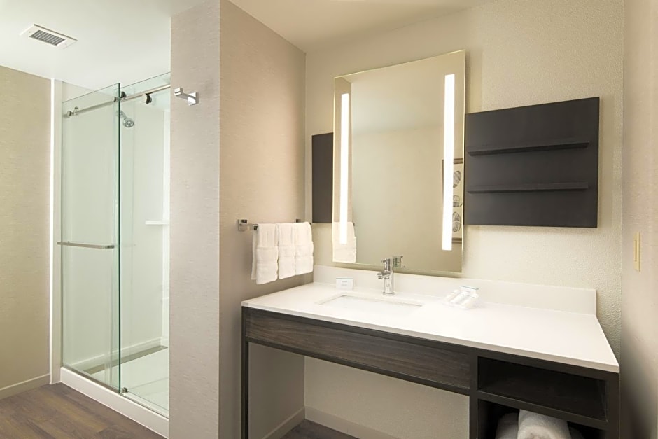 Hilton Garden Inn Memphis Downtown Beale Street