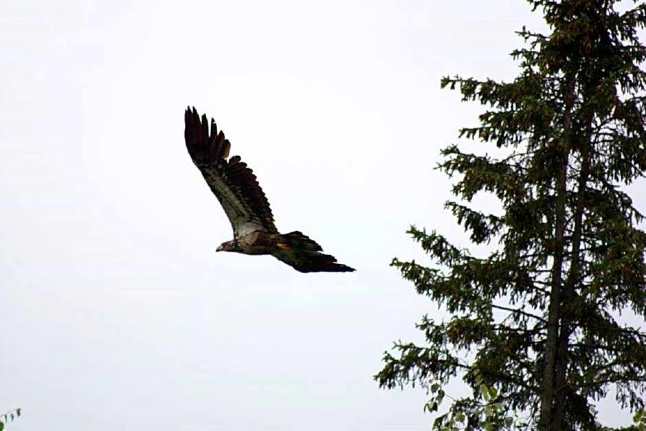 LDR Lodge - Last Dollar Ranch