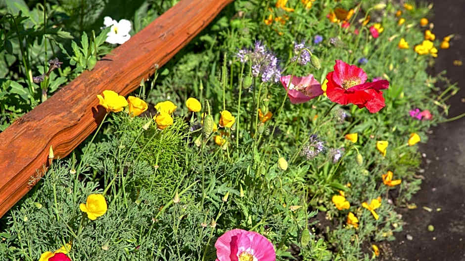 Pike's Waterfront Lodge