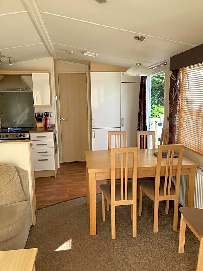 Hoburne park Bluebell10