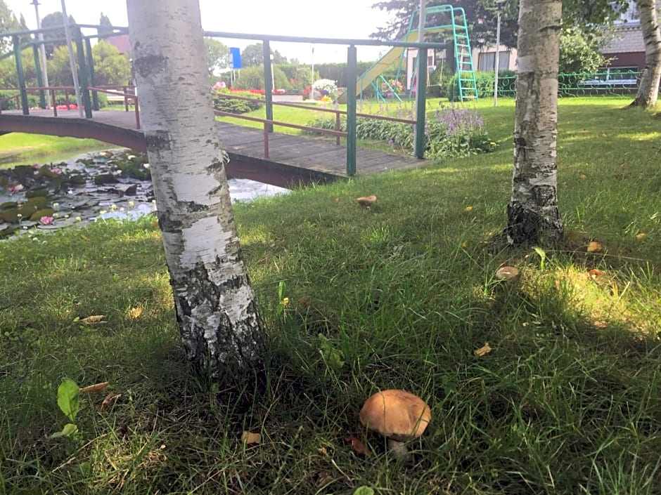 Airovita kambariai nakvynei