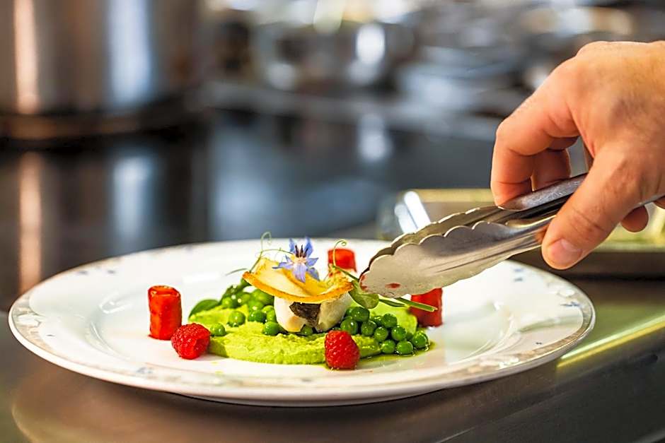 Park-Hotel am Rhein - Gesundheitshotel und Residenzen