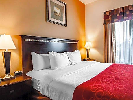 1 King Bed Non-Smoking