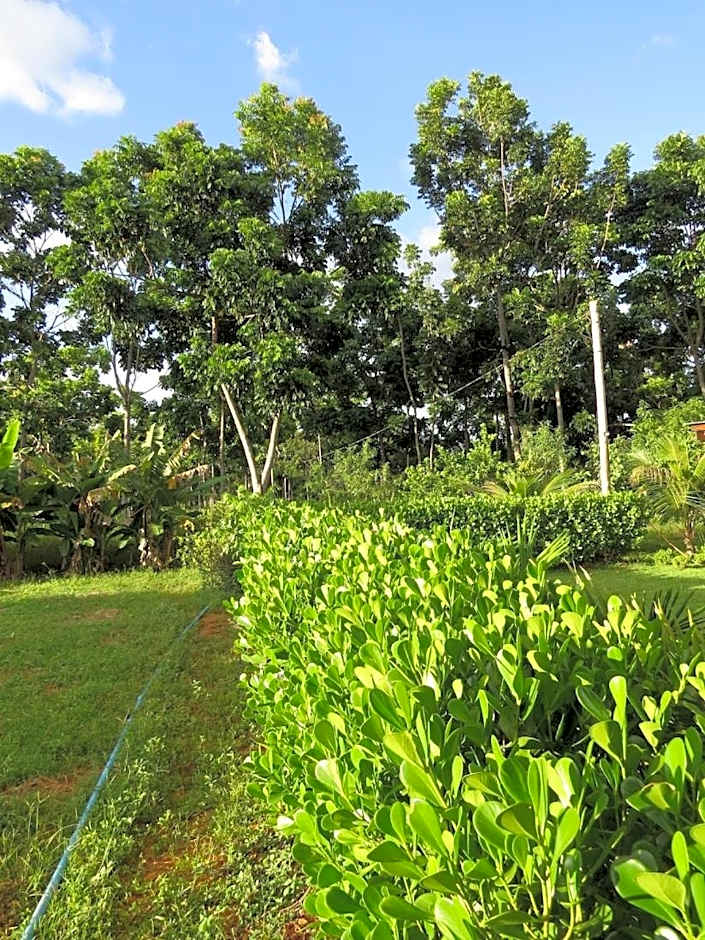 Casa na fazenda inteira ou quartos individuais no Hostel Recanto da Felicidade Paraopeba