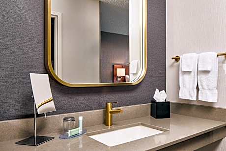 One-Bedroom King Suite