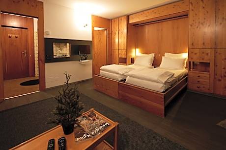 Studio with Balcony and Mountain View