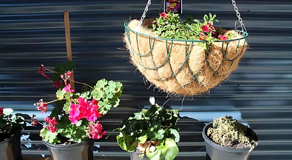 Hobart's Accommodation & Hostel