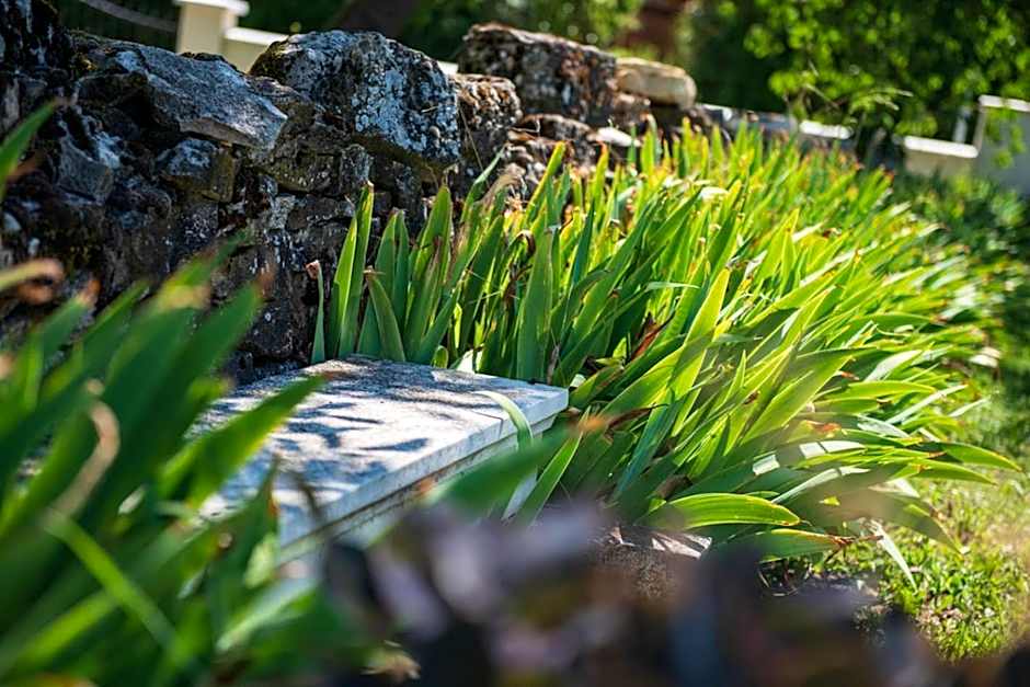 Chai du Chateau de Morteuil