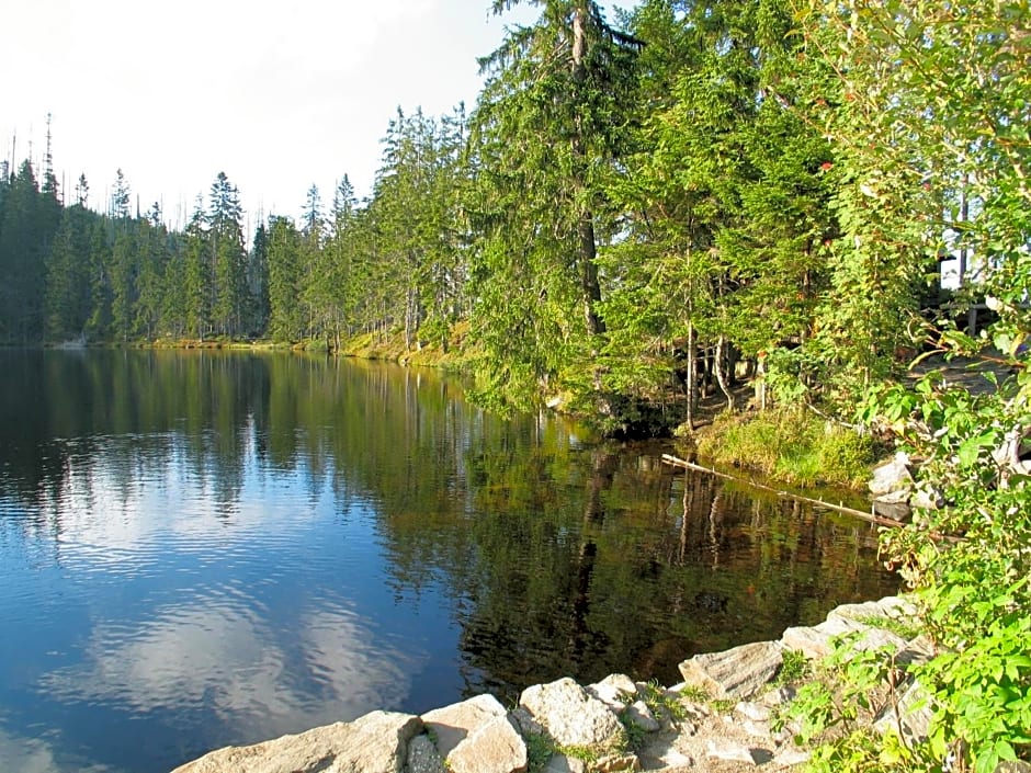 Hotel Srní depandance - Šumava