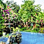 Green Peace Bungalow