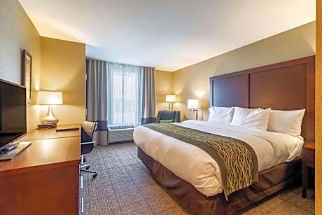 1 King Bed, Suite, No Smoking