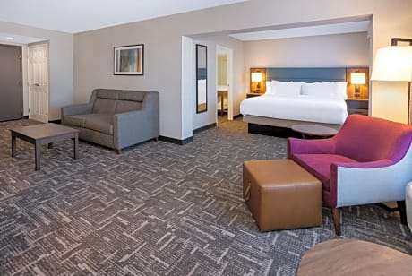 1 King Bed, Studio, Deluxe Suite, Non-Smoking