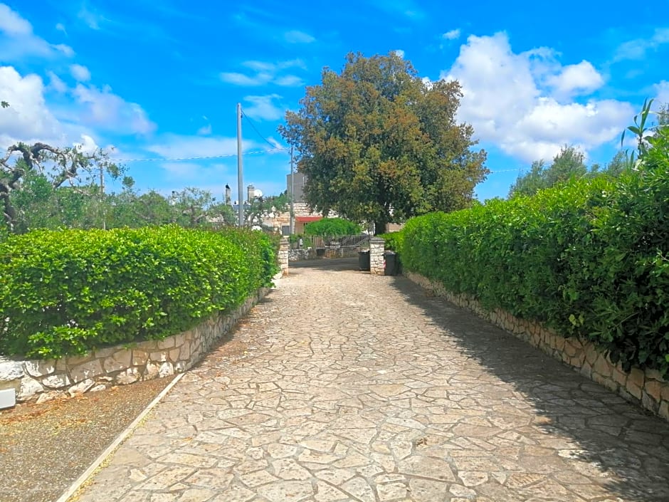 B & B La Mansarda – Monopoli, LA