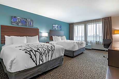 Queen Room with Two Queen Beds - Non Smoking