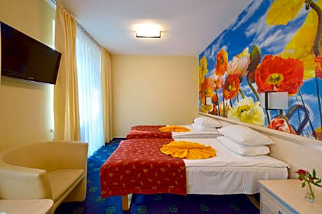 Superior Double or Twin Room with Treatment Package "Mini“