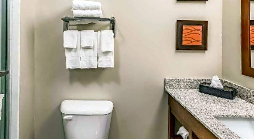 Quality Inn Bessemer I-20 exit 108