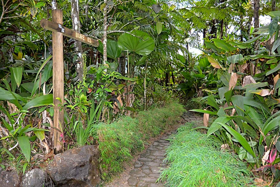 Rainforest Eco Lodge