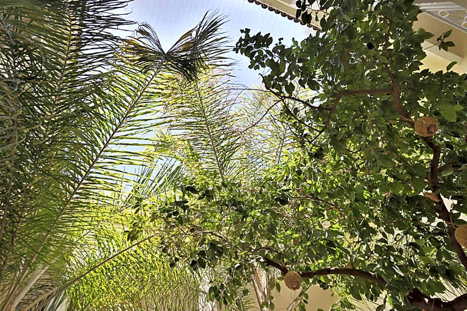 Riad NaaNaa Bed & Breakfast